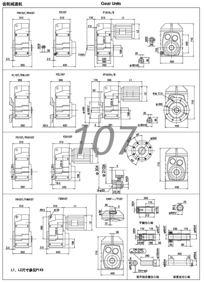 f107減速機|F107平行軸斜齒輪減速機